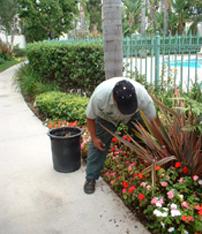 Routine inspections and tune-ups on sprinkler system